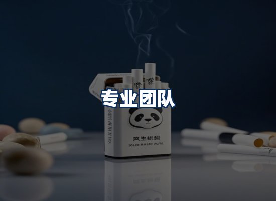 专业团队